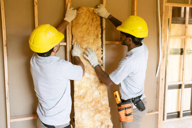 Best Wall Insulation Contractor  in Wausau, WI